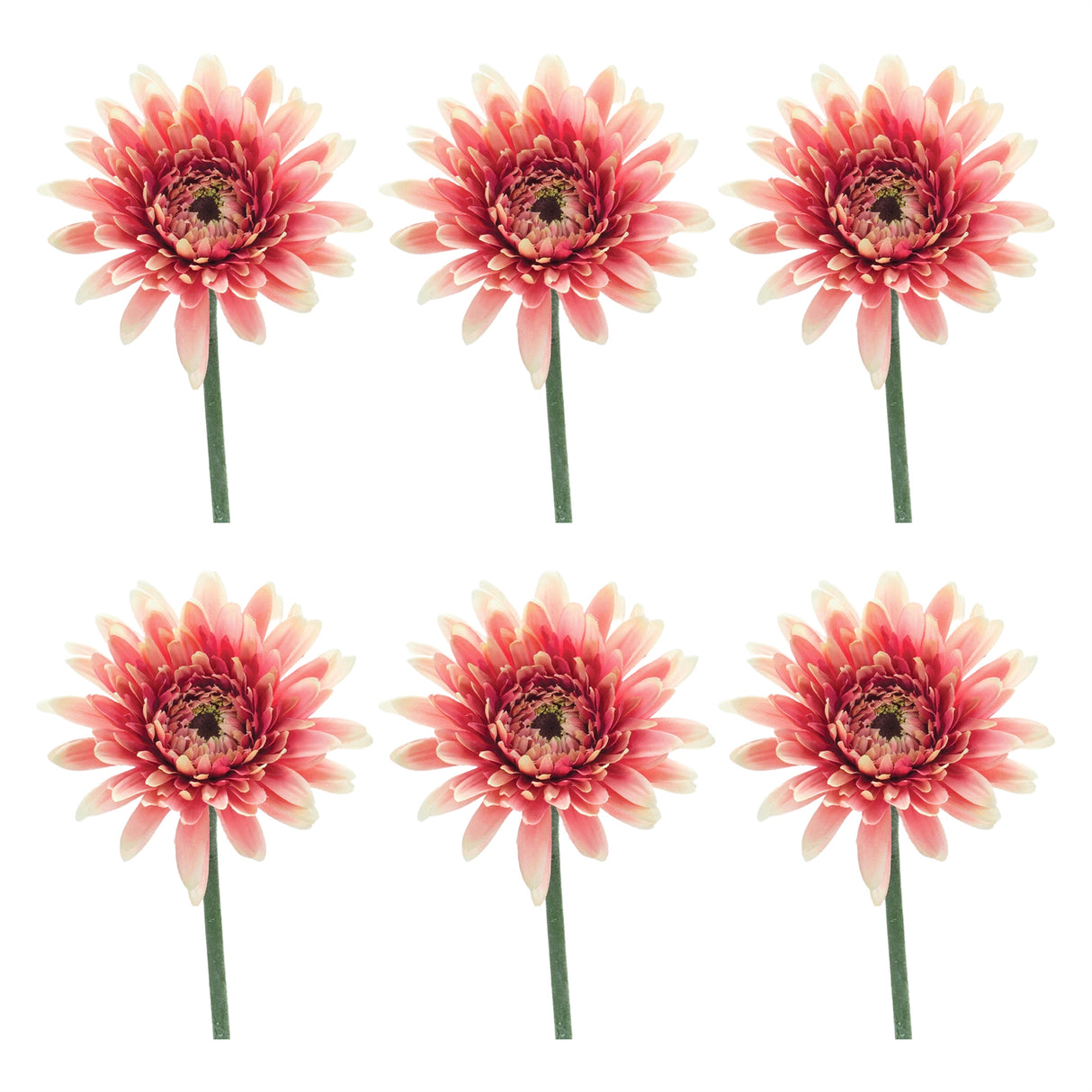 Gerbera Daisy Floral Stem (Set of 6)