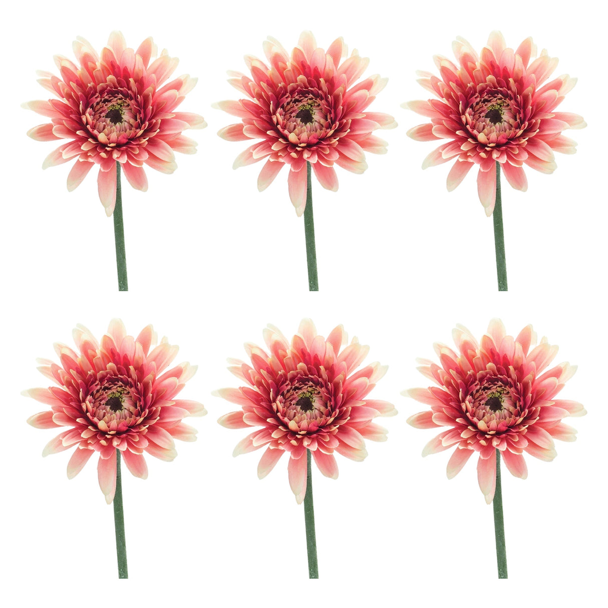 Gerbera Daisy Floral Stem (Set of 6)