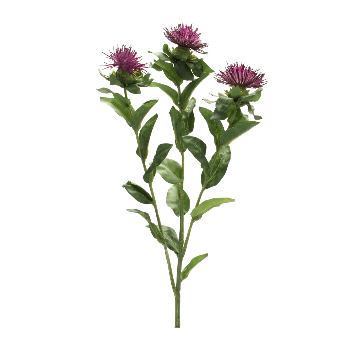 Purple thistle floral spray (set of 6)