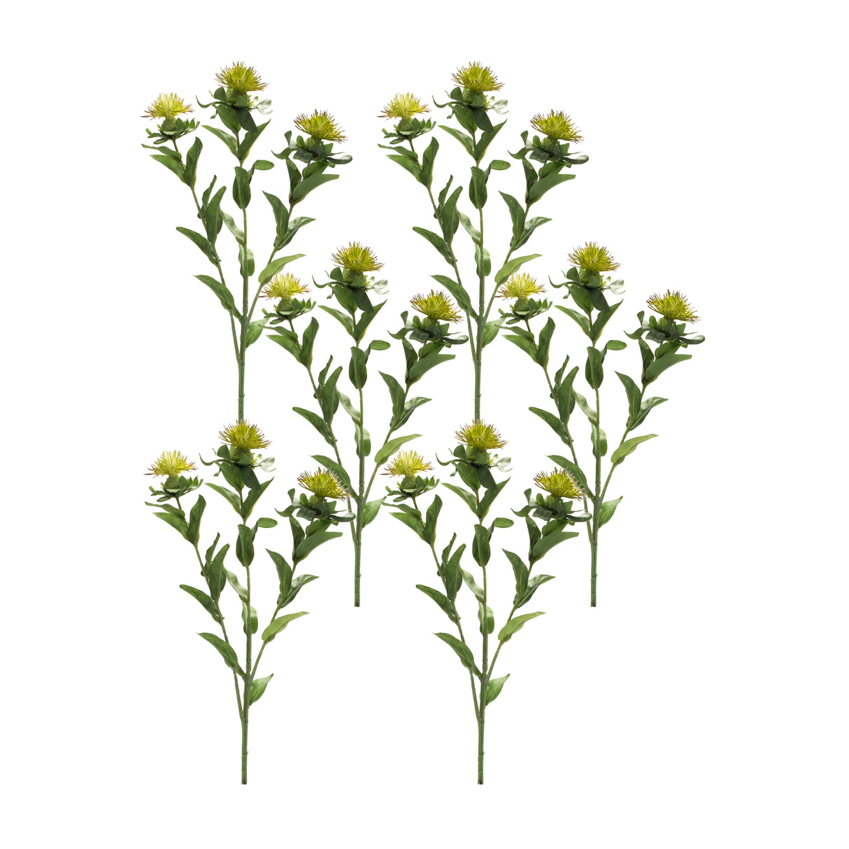 Green-thistle-floral-spray-(set-of-6)-Artificial-Flowering-Plants