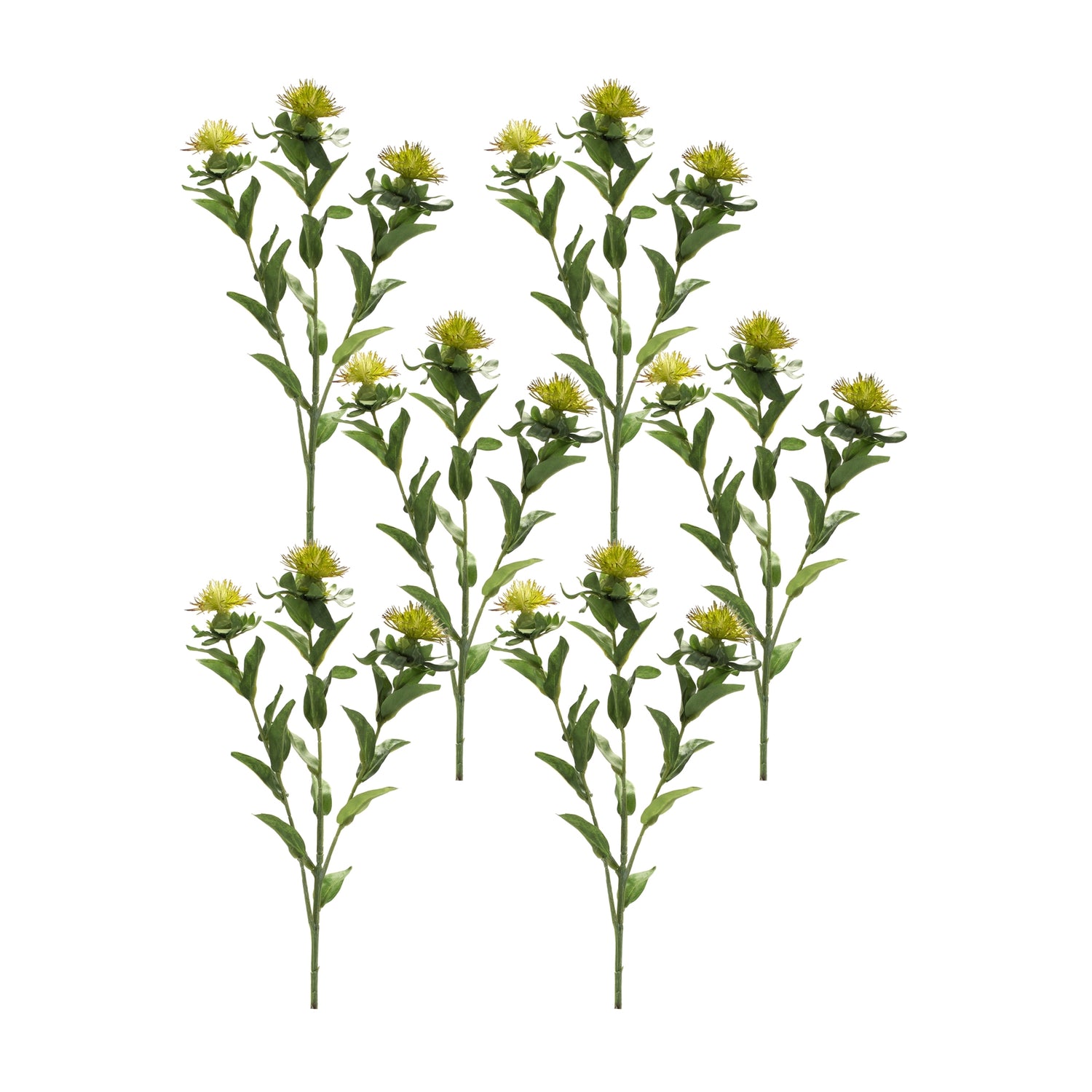 Green-thistle-floral-spray-(set-of-6)-Artificial-Flowering-Plants
