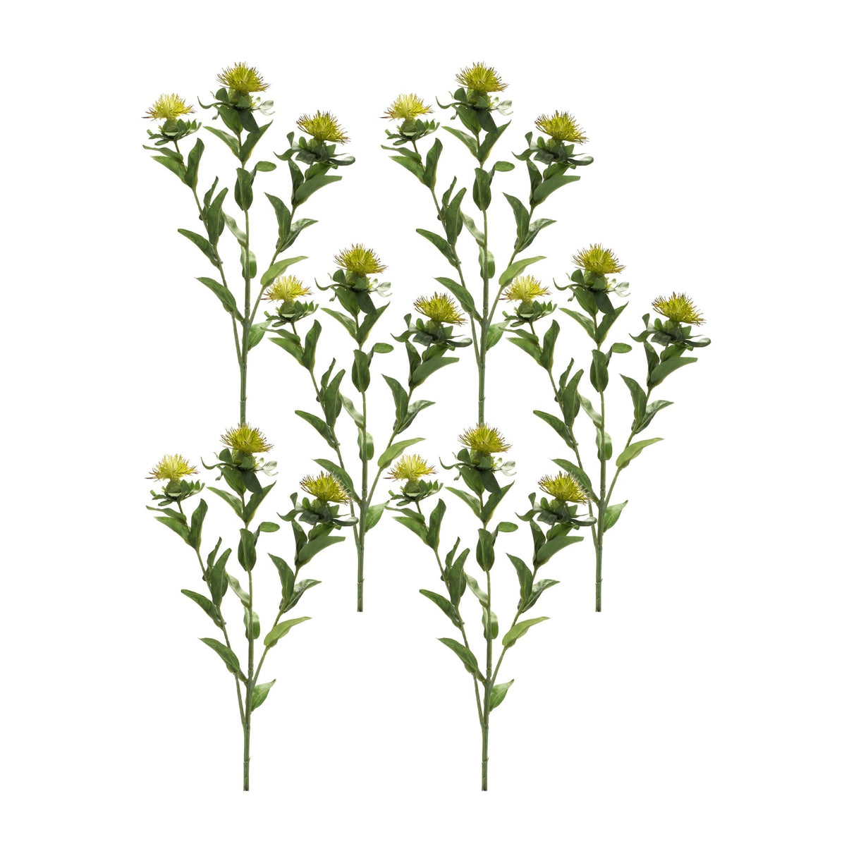 Green-Thistle-Floral-Spray-(Set-of-6)-Artificial-Flowering-Plants