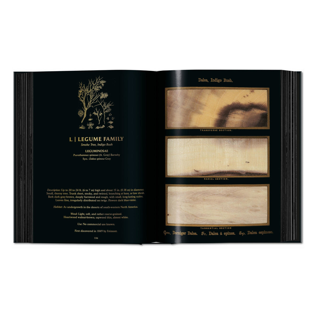 Romeyn B. Hough. The Woodbook. The Complete Plates (English)