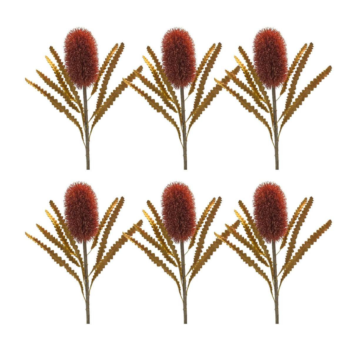 Burnt-Orange-Banksia-Floral-Stem-(Set-of-6)-Artificial-Flowering-Plants