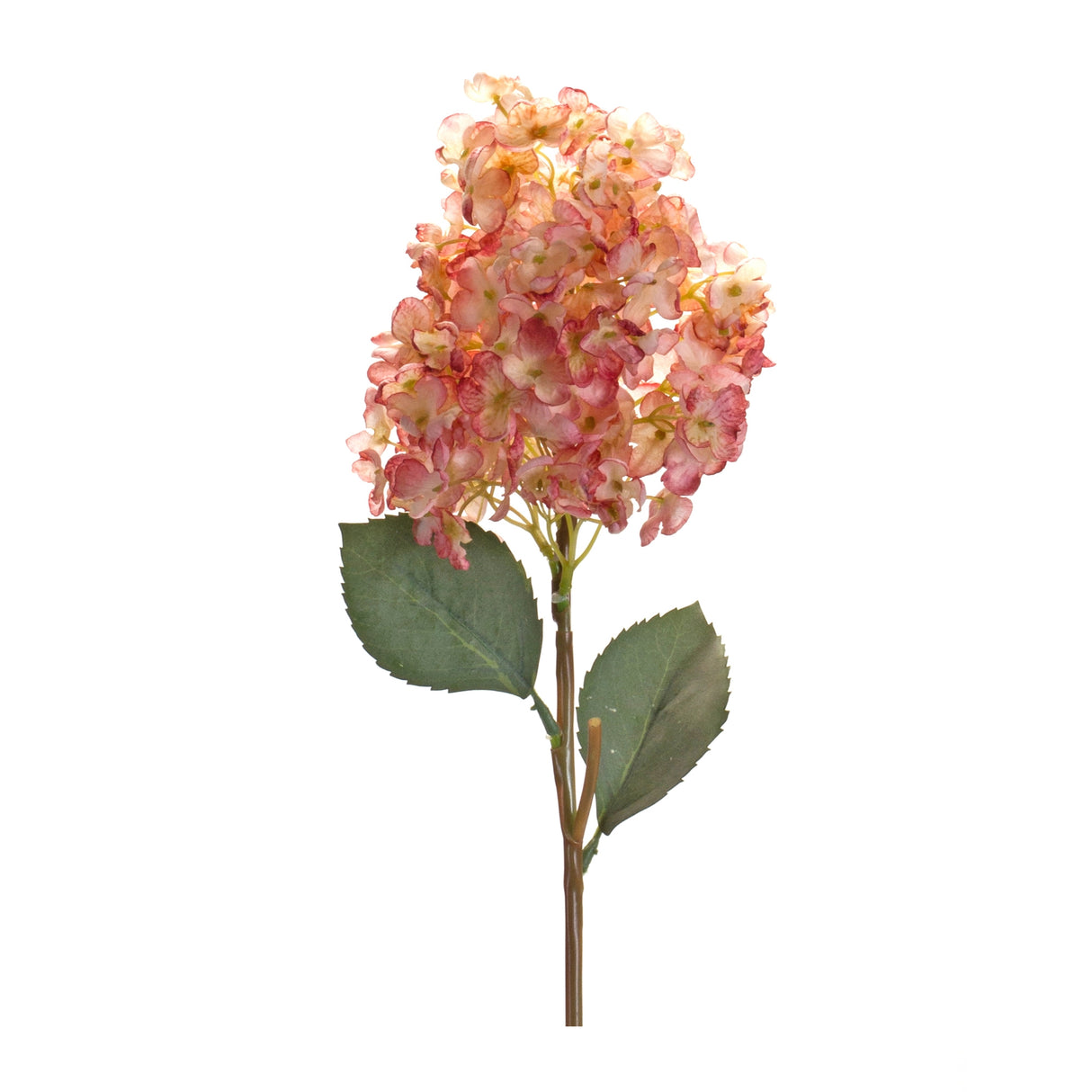 Coral pink cone hydrangea flower stem (set of 6)
