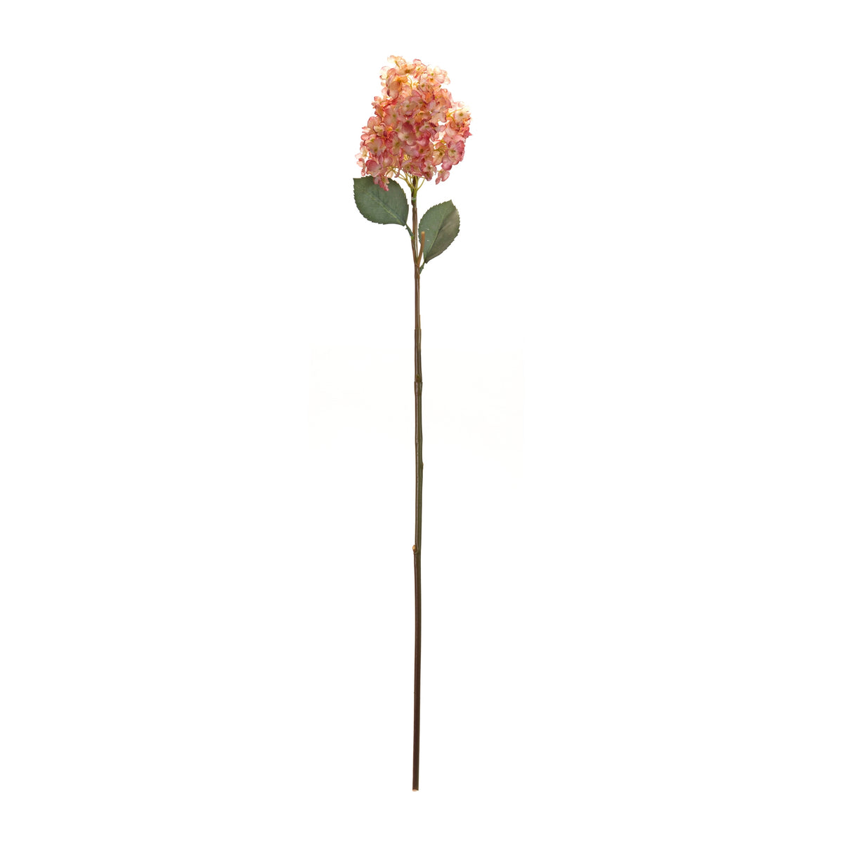 Coral pink cone hydrangea flower stem (set of 6)