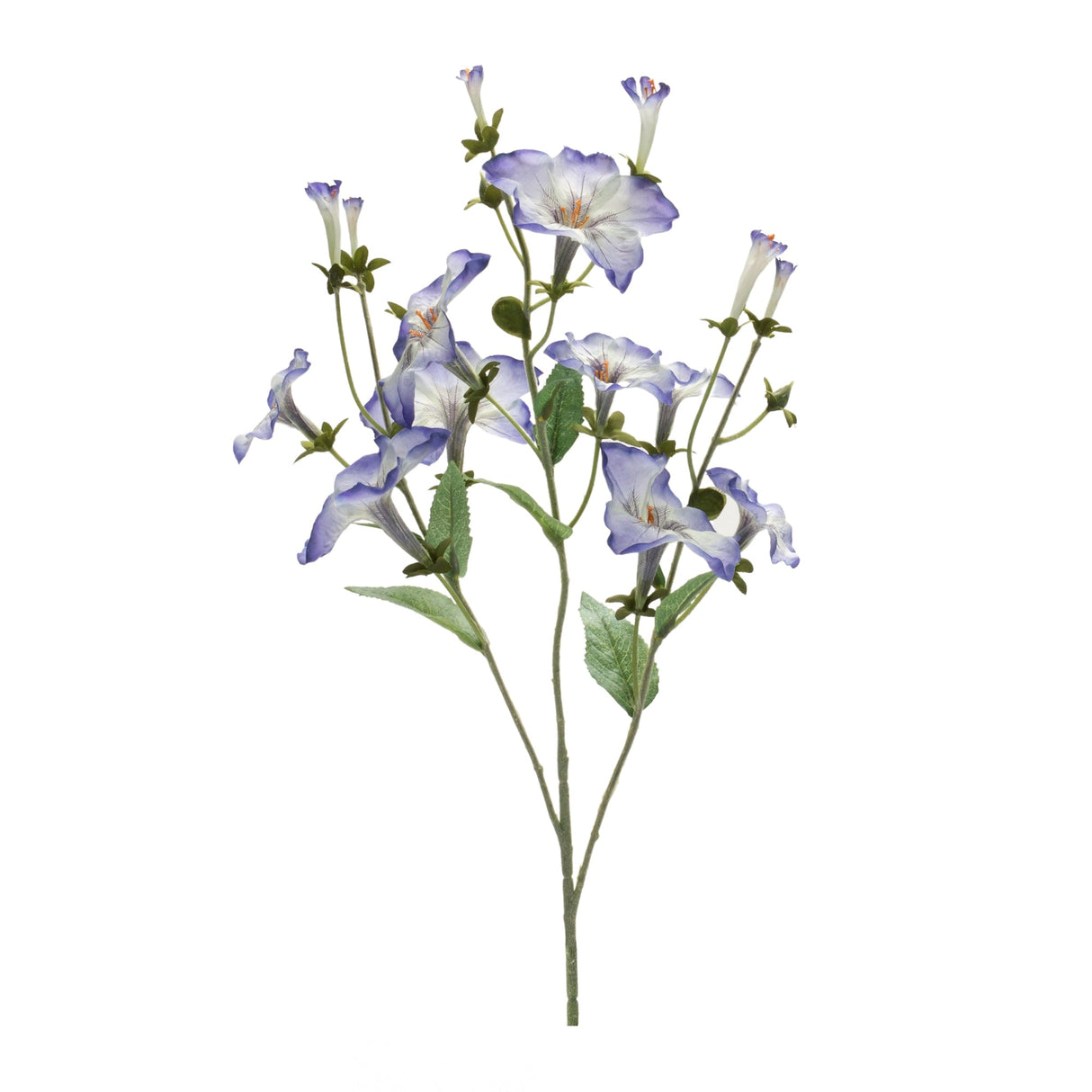 Morning Glory Bud Flower Spray (Set of 6)