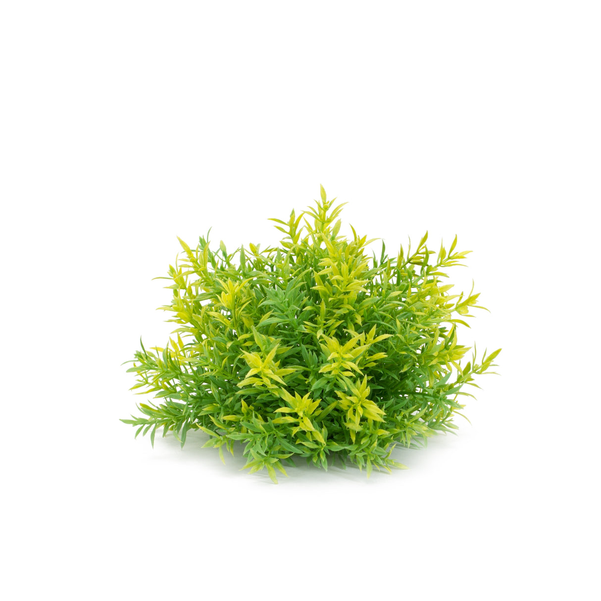 Mini leaf half orb (set of 6)