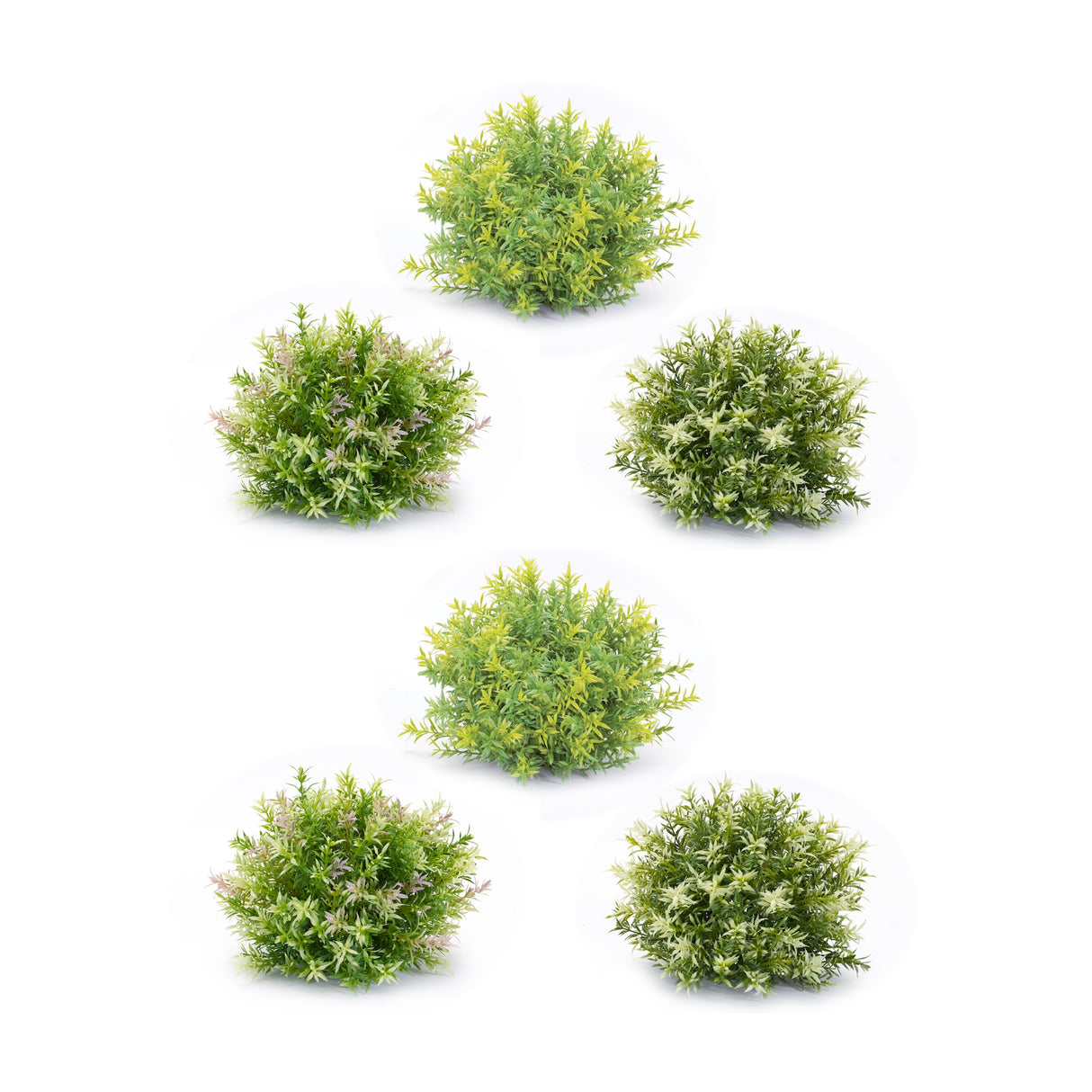 Varigated-Mini-Leaf-Half-Orb-(Set-of-6)-Artificial-Flowering-Plants