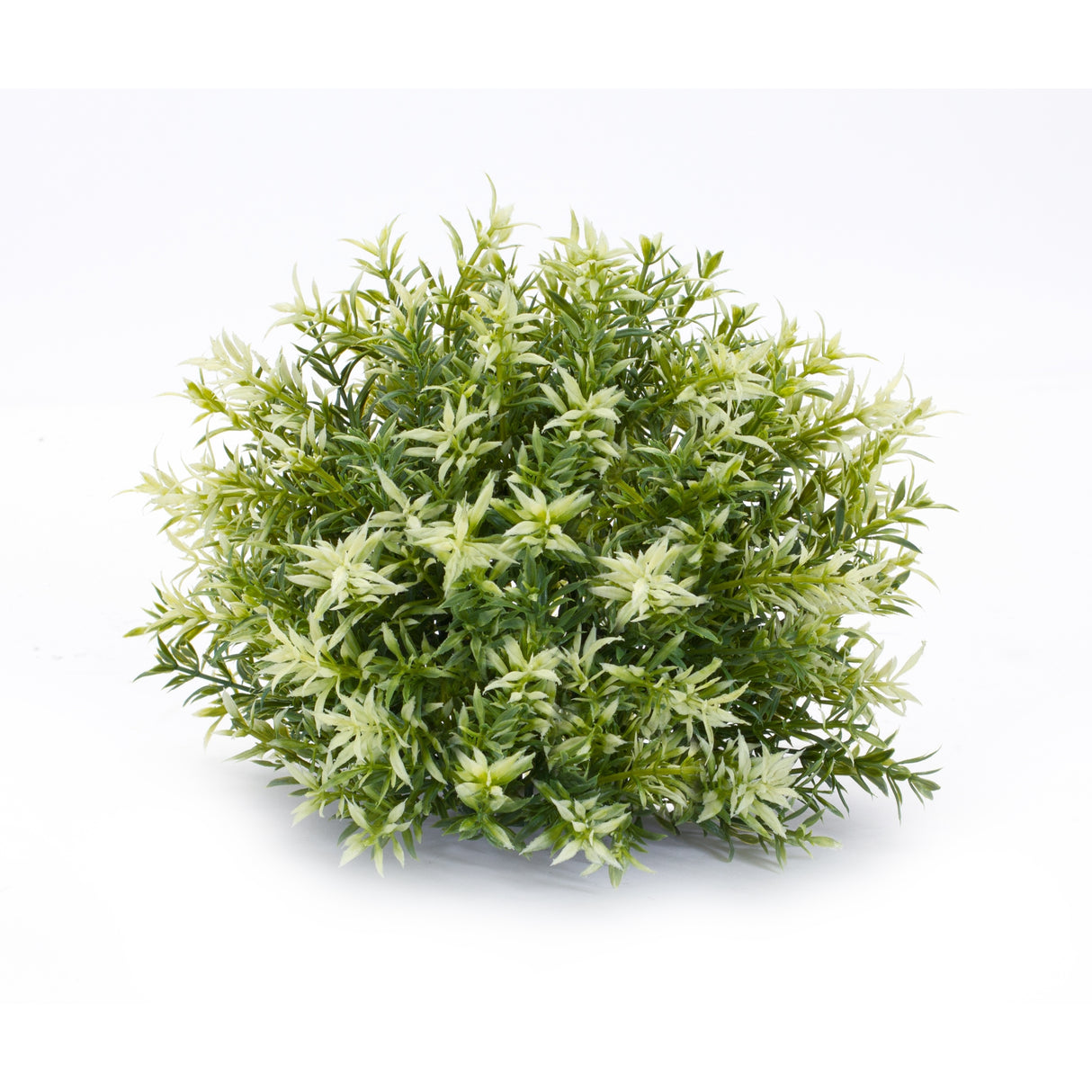 Varigated Mini Leaf Half Orb (Set of 6)