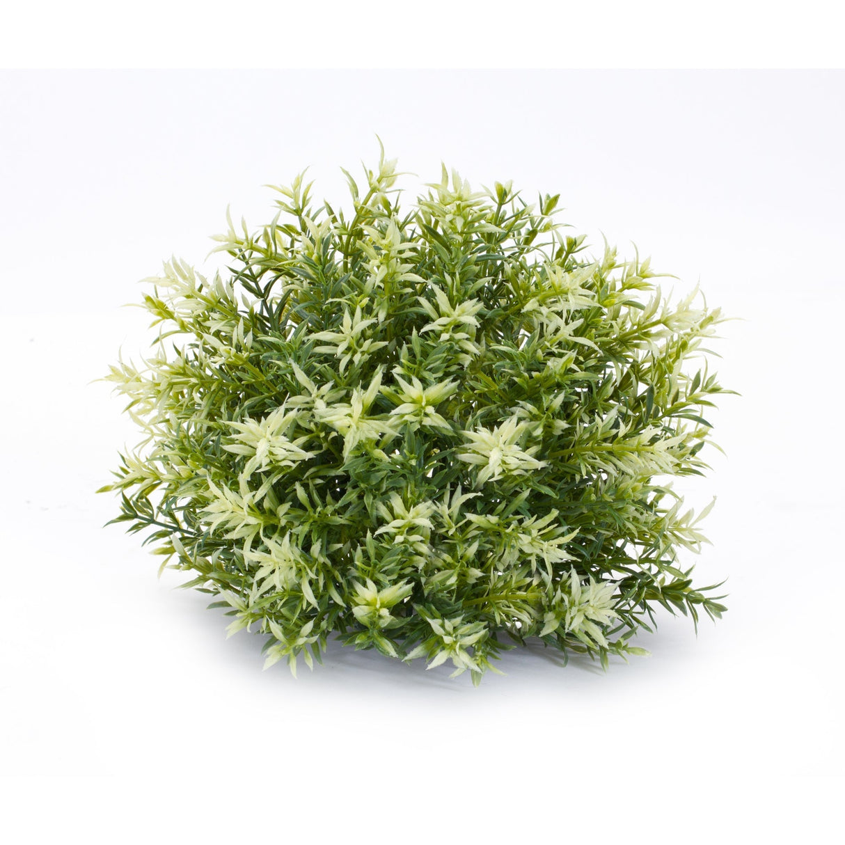 Varigated Mini Leaf Half Orb (Set of 6)