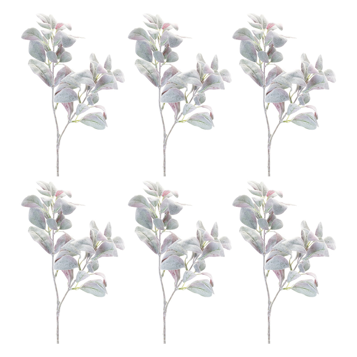 Lamb's Ear Leaf Bush (Set of 6)