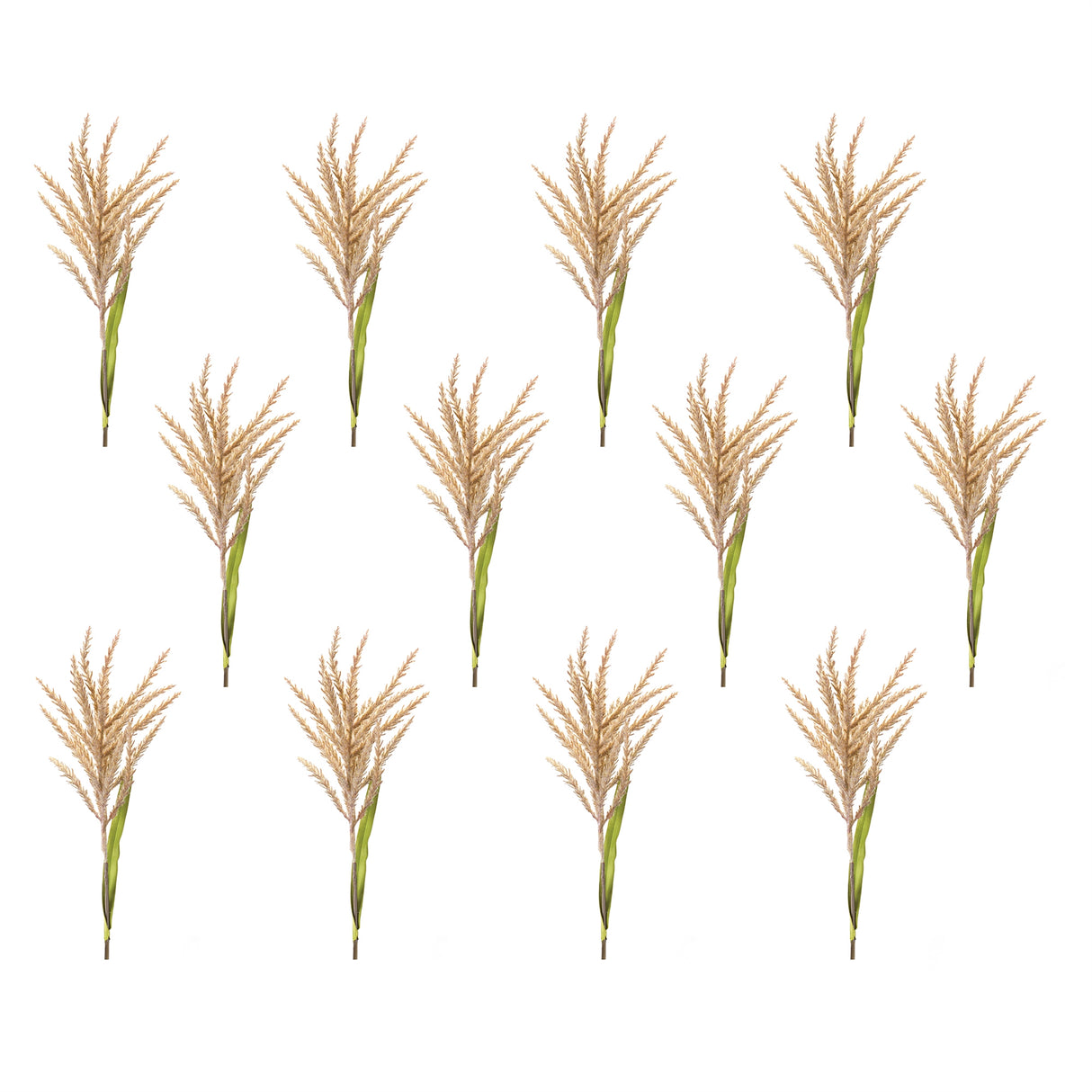 Astilbe stem (set of 12)