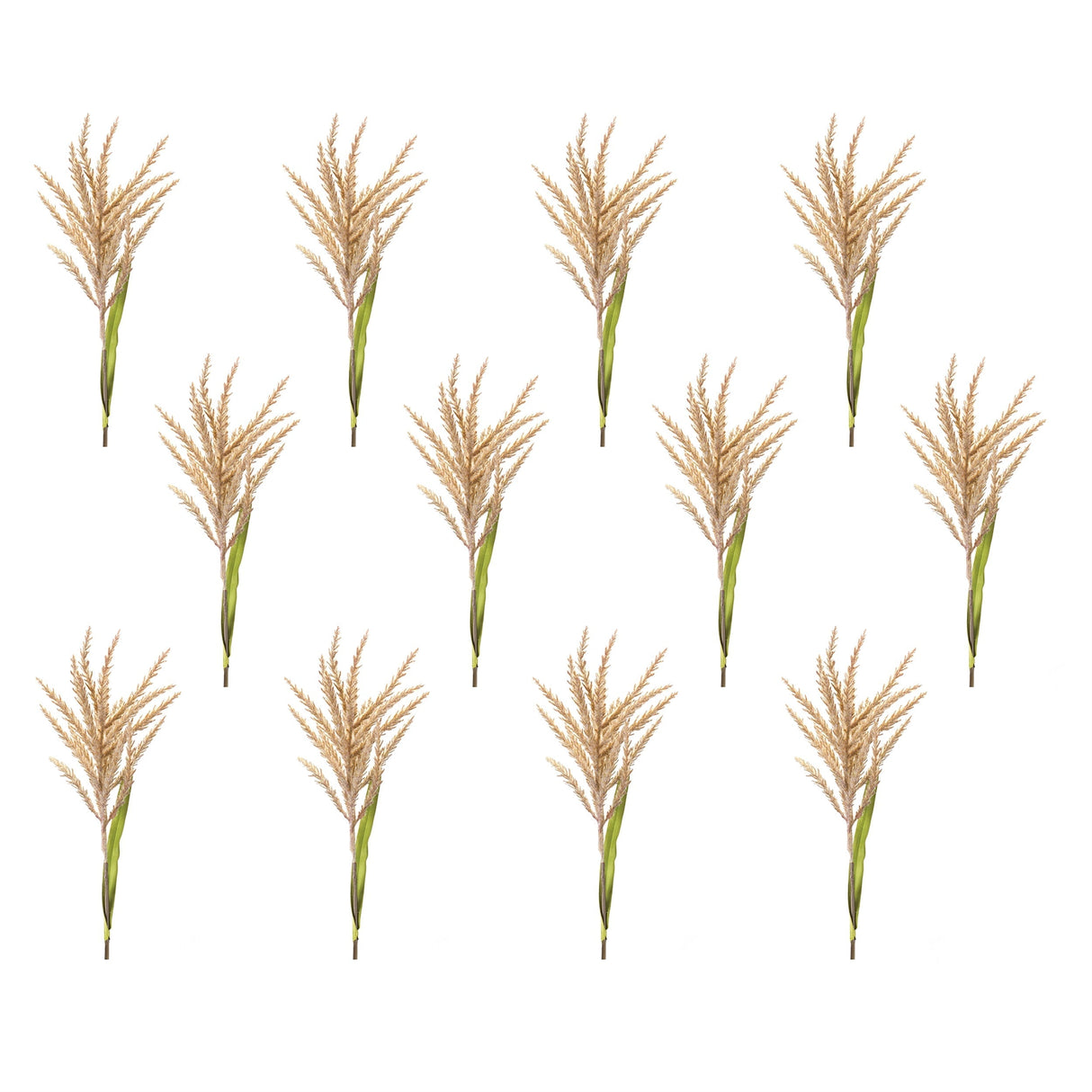 Astilbe stem (set of 12)
