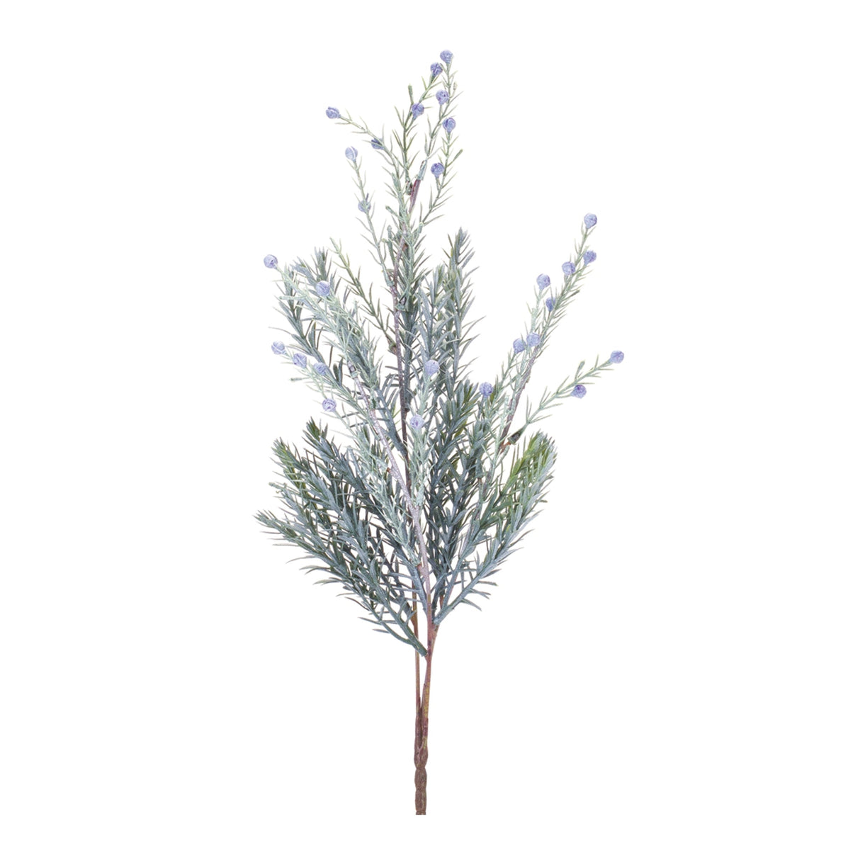 Pine-Spray-(Set-of-6)-Christmas-Decor