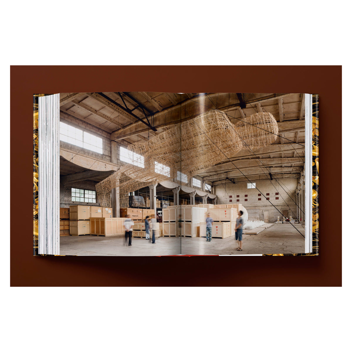 Ai Weiwei. Updated Edition (German, French, English)