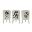 Footed-Foliage-Print-Planter-(Set-of-3)-Pots-&-Planters