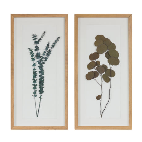 Dried-Eucalyptus-Frame-(Set-of-2)-Wall-Accents