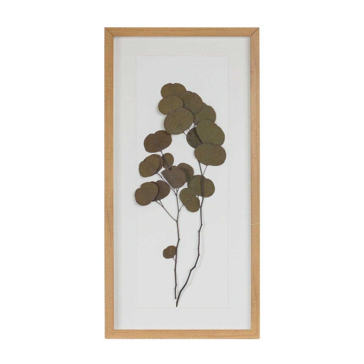 Dried Eucalyptus Frame (Set of 2)