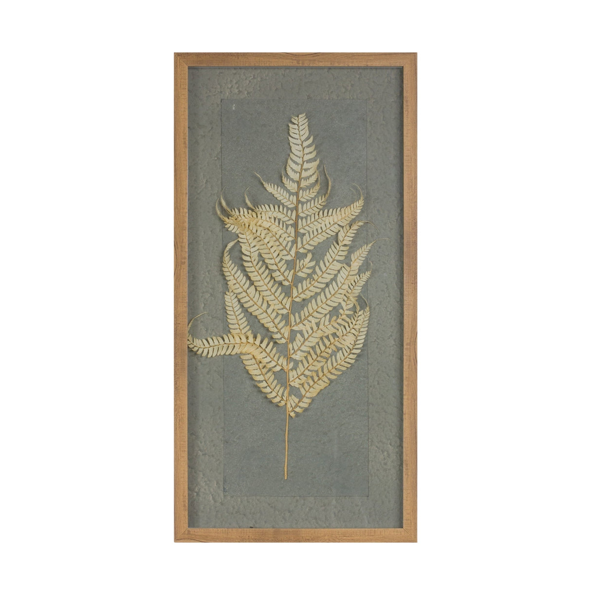 Dried-Fern-Frame-(Set-of-2)-Wall-Accents