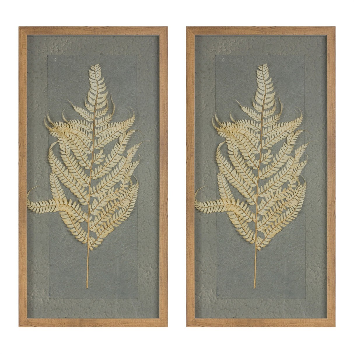 Dried Fern Frame (Set of 2)