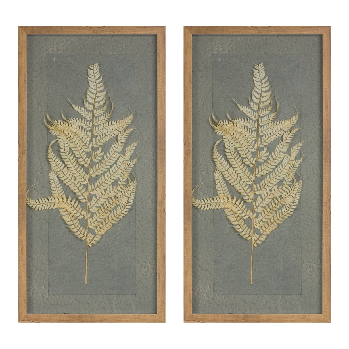 Dried Fern Frame (Set of 2)