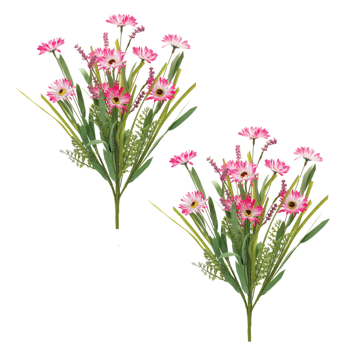 Mixed Daisy Bush (Set of 2)