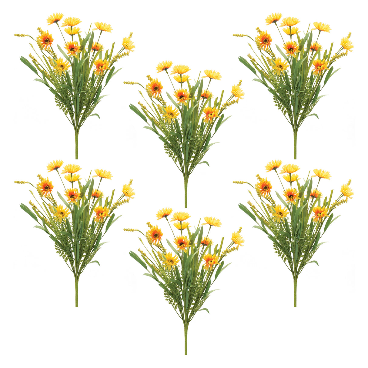 Mixed daisy bush (set of 6)