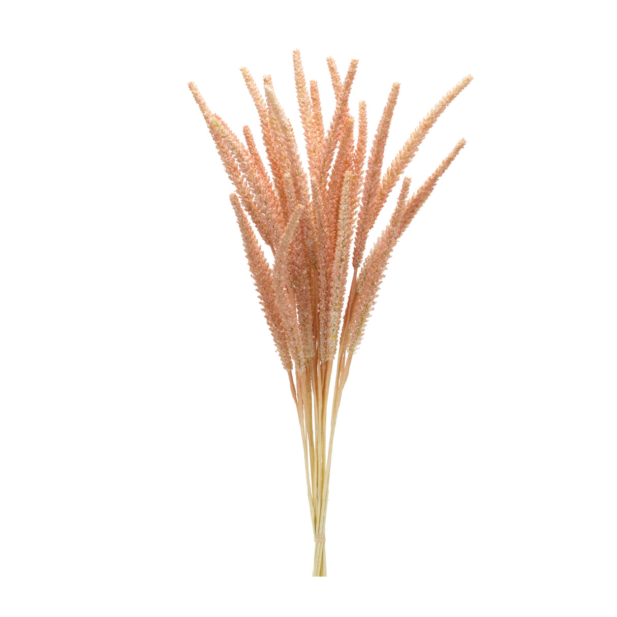 Foxtail-Bundle-(Set-of-6)-Artificial-Flowering-Plants
