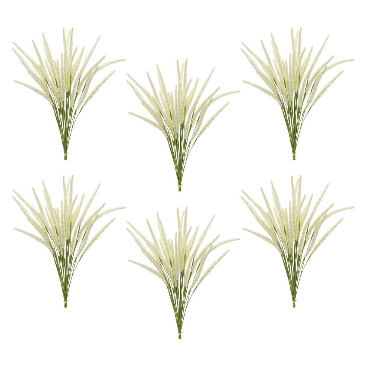Foxtail Bundle (Set of 6)