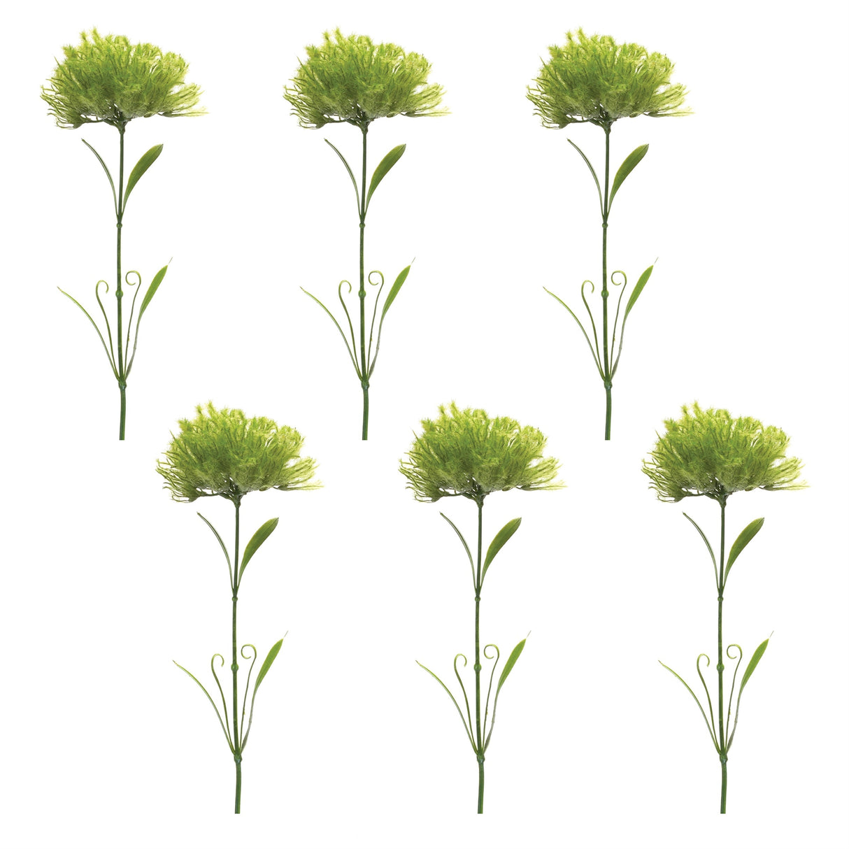 Puff Flower Stem (Set of 6)