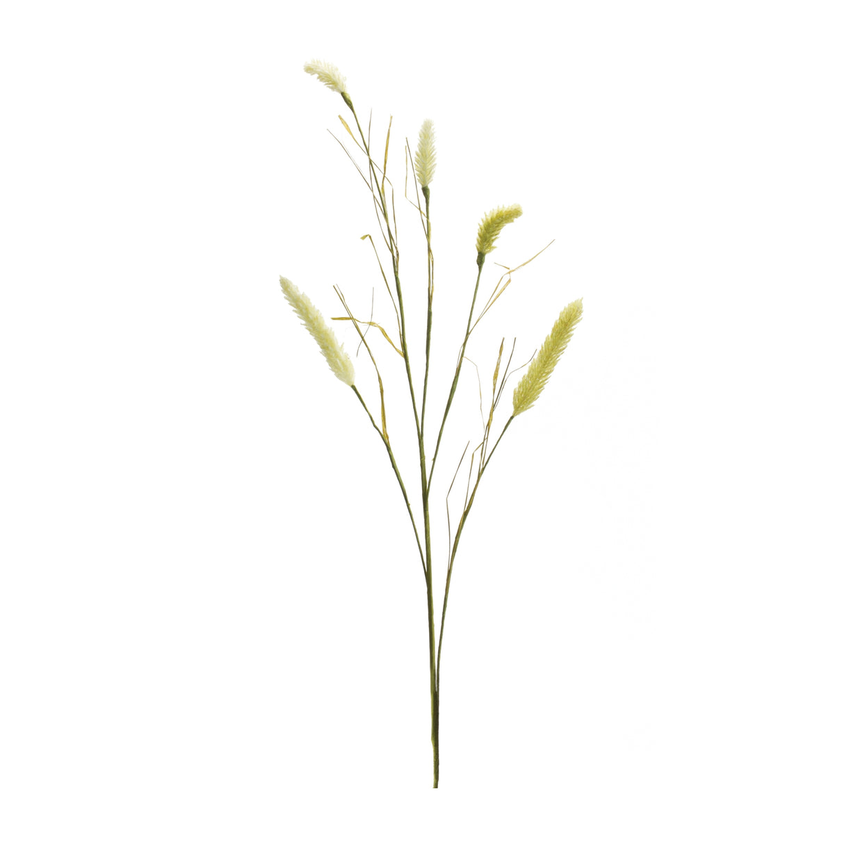 Green-Foxtail-Spray-(Set-of-6)-Artificial-Flowering-Plants