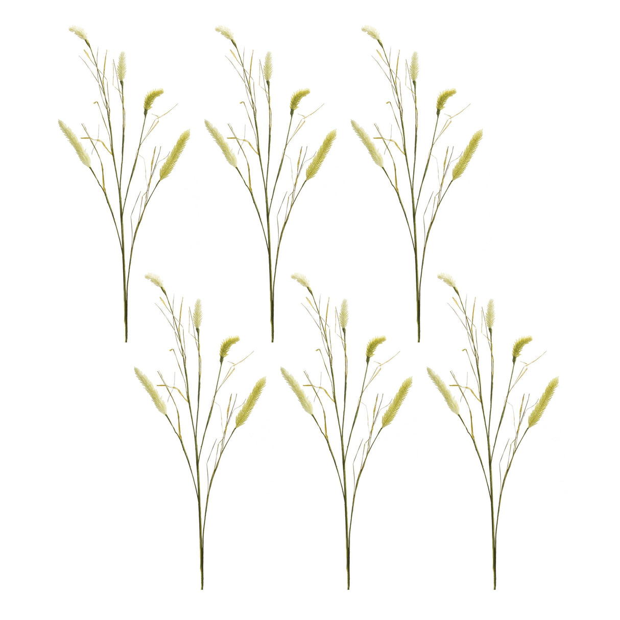 Foxtail Spray (Set of 6)