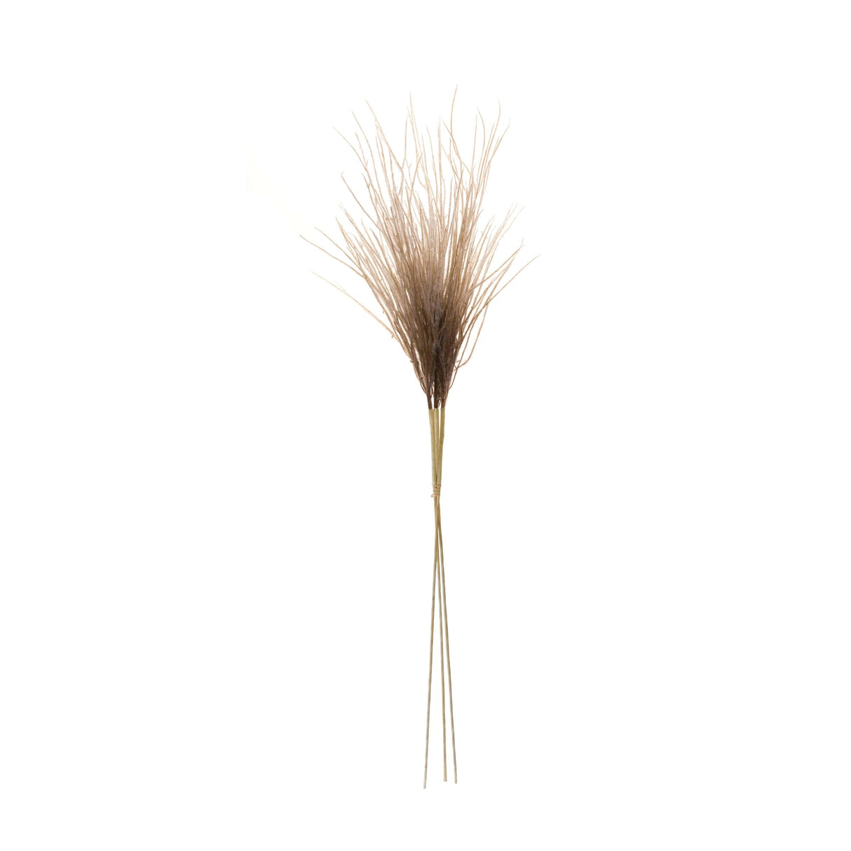 White grass plume bundle (set of 2)