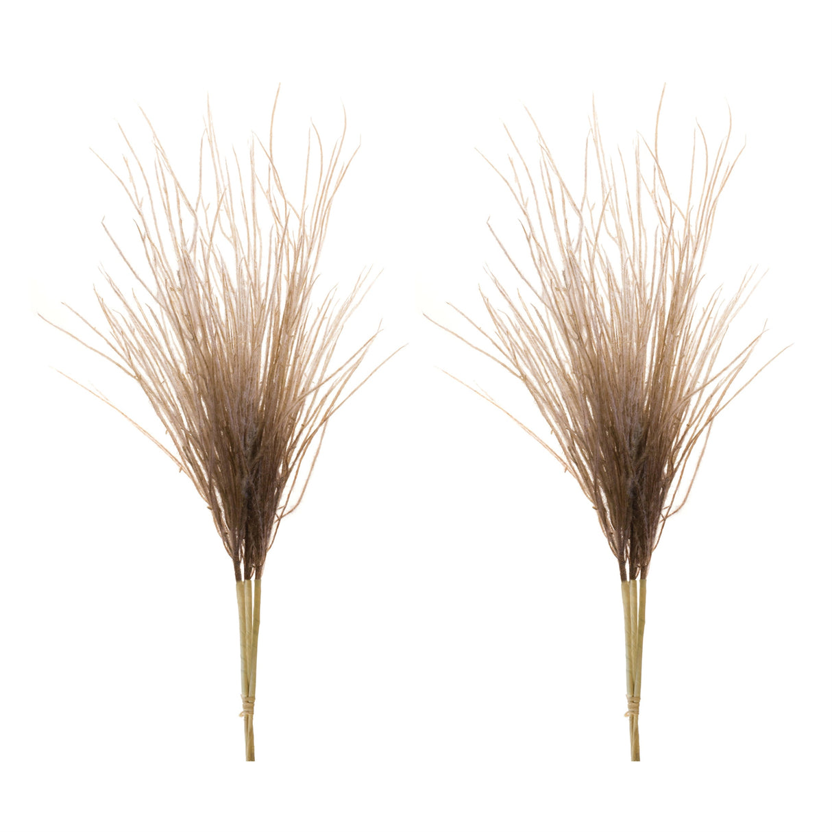 White grass plume bundle (set of 2)