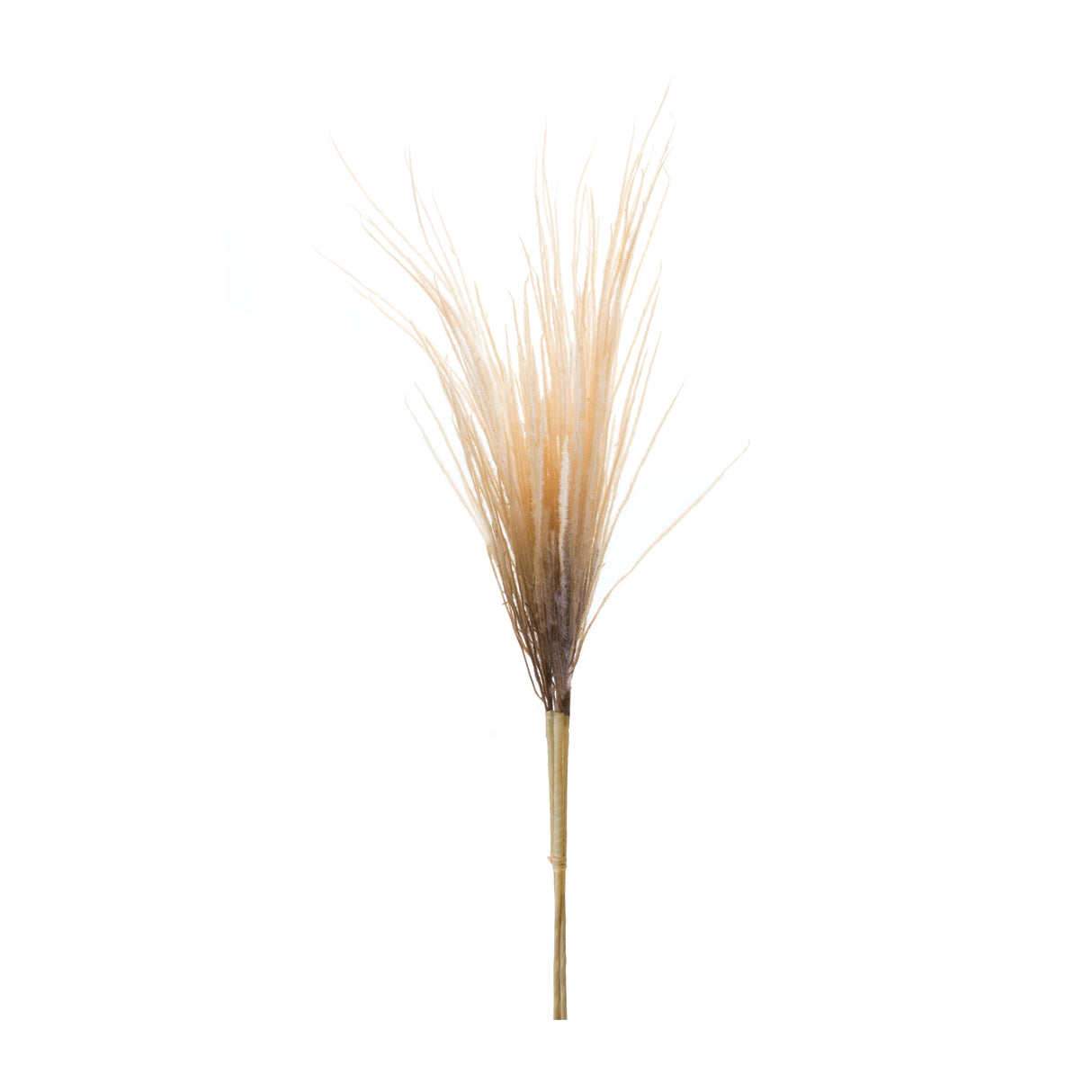 Grass-plume-bundle-(set-of-2)-Artificial-Flowering-Plants