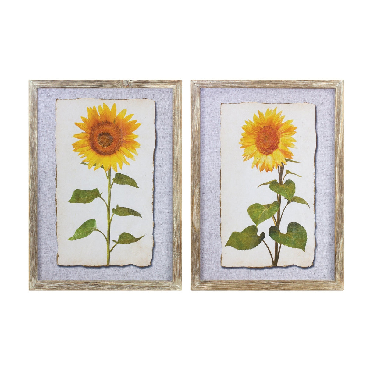 Framed-sunflower-print-(set-of-2)-Wall-Art