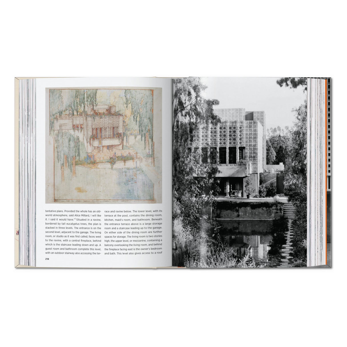 Frank Lloyd Wright. 45th Ed. (English)