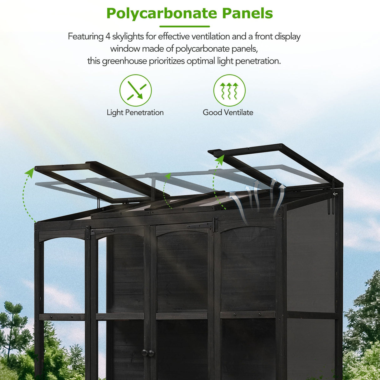 TOPMAX 78-inch Wooden Walk-in Greenhouse with Skylights and Folding Shelves