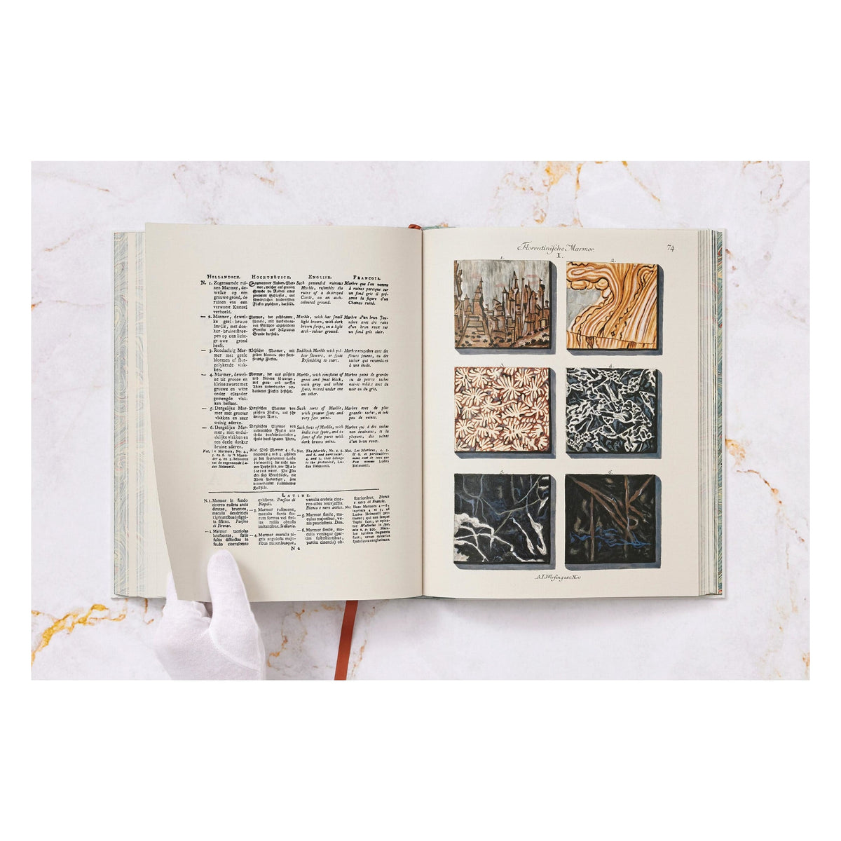 Jan Christiaan Sepp. The Book of Marble (German, French, English) (FFE)