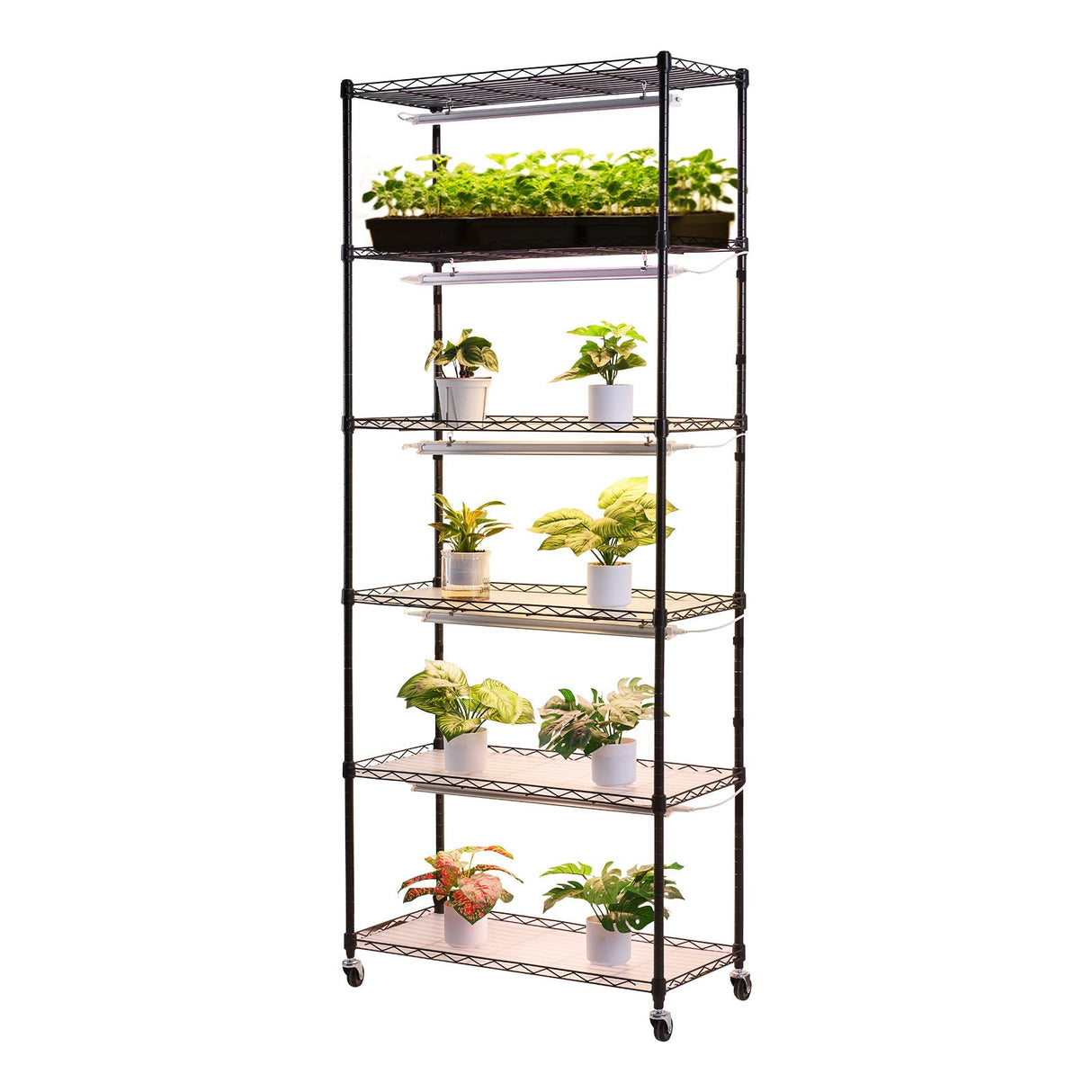 6-Tier Indoor Plant Shelf with Grow Light
