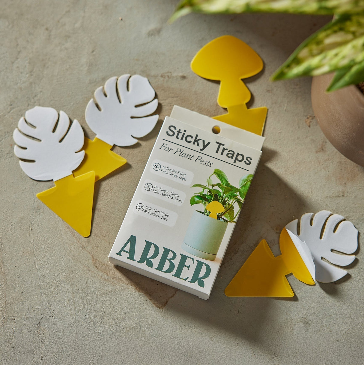 Sticky Traps for Plant Pests | Chemical-Free Pest Control | House Plant Shop