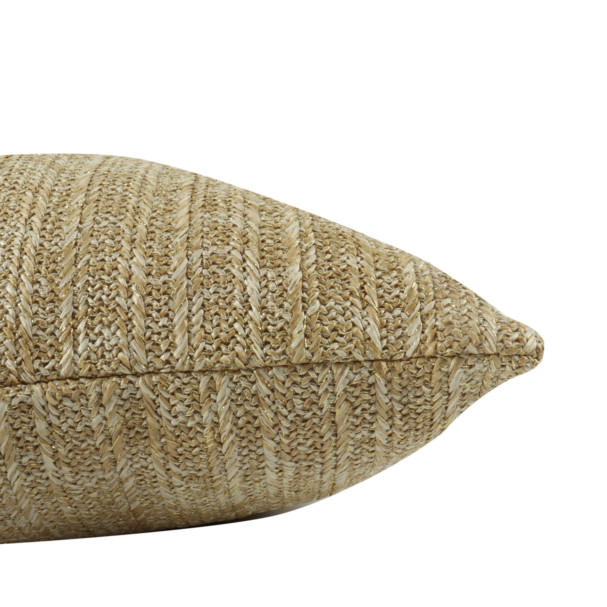 Outdoor/Indoor Decorative Throw Pillows with Inserts (Set of 2)