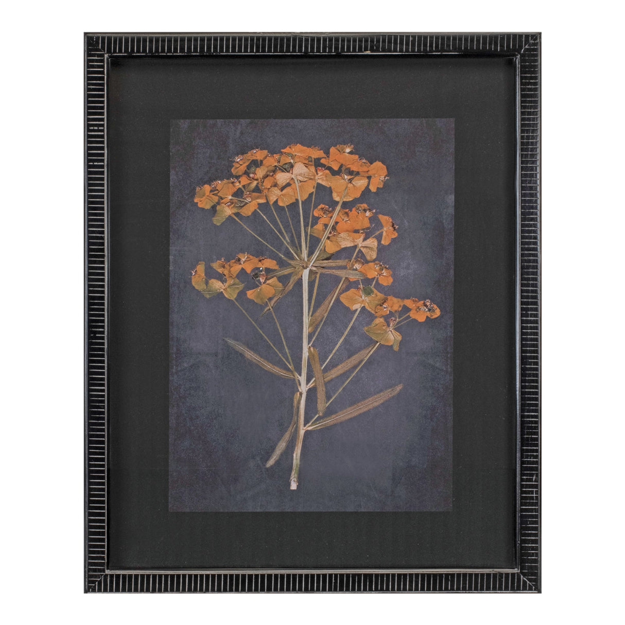 Wood framed botanical print (set of 2)