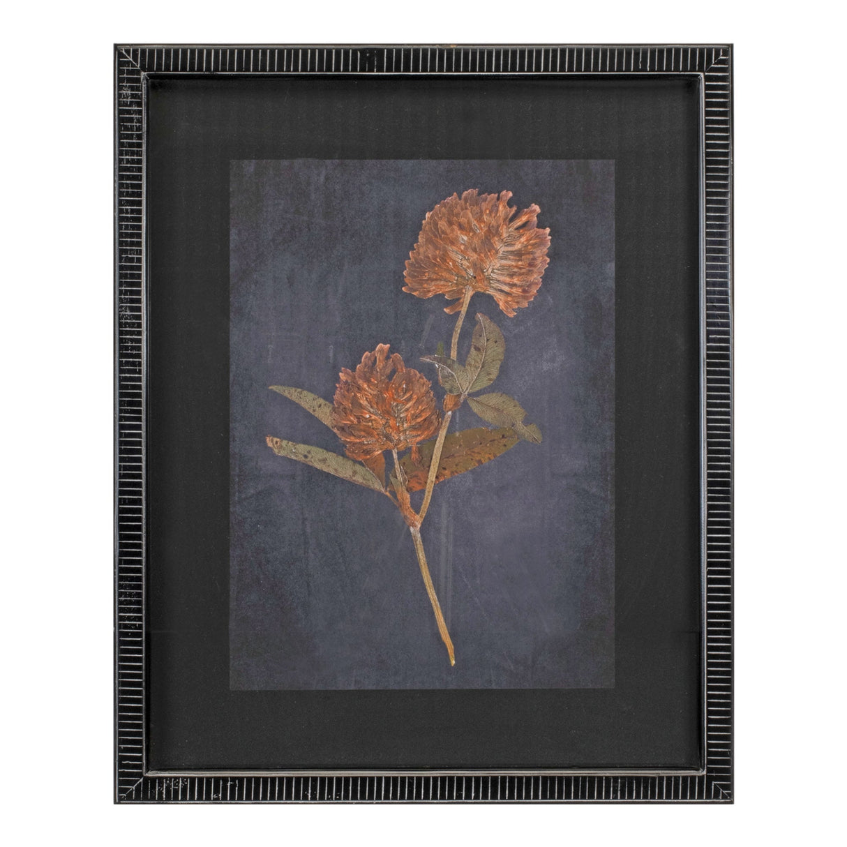 Wood framed botanical print (set of 2)