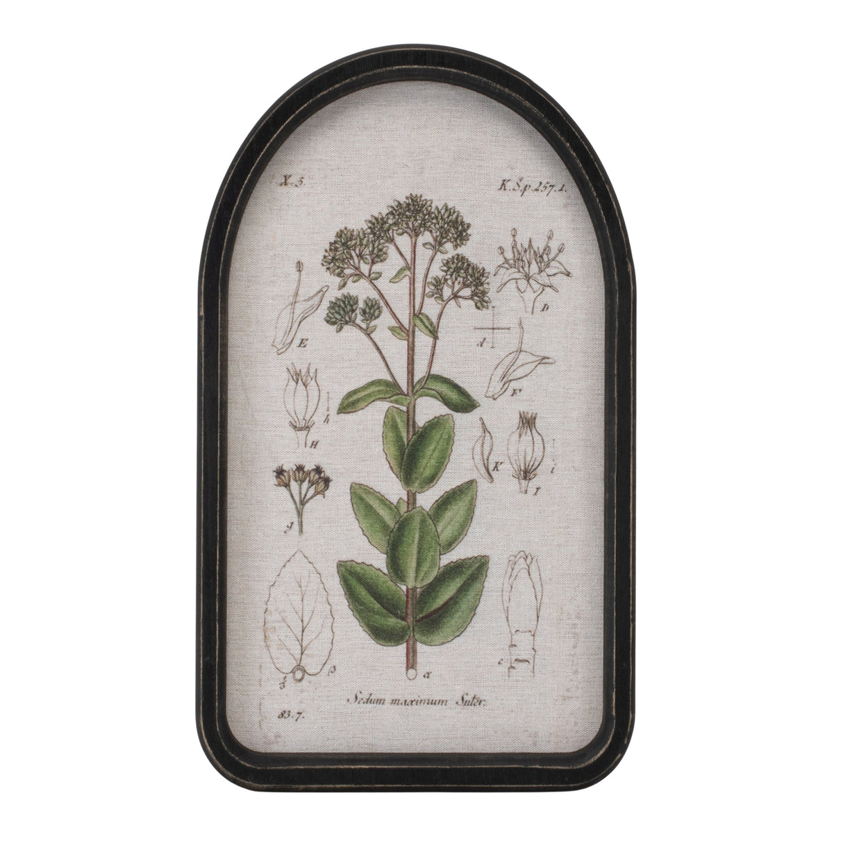 Framed floral arch print (set of 2)