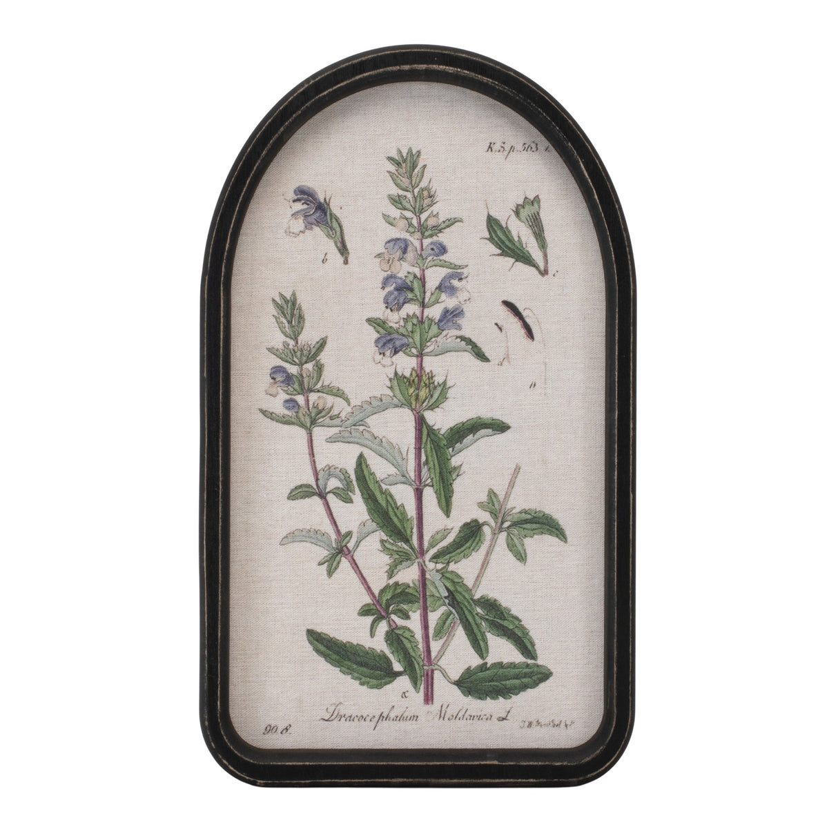 Framed floral arch print (set of 2)