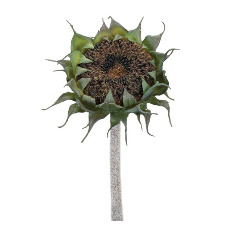 Brown-Sunflower-Stem-(Set-of-6)-Artificial-Flowering-Plants