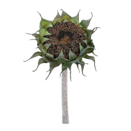 Brown-Sunflower-Stem-(Set-of-6)-Artificial-Flowering-Plants