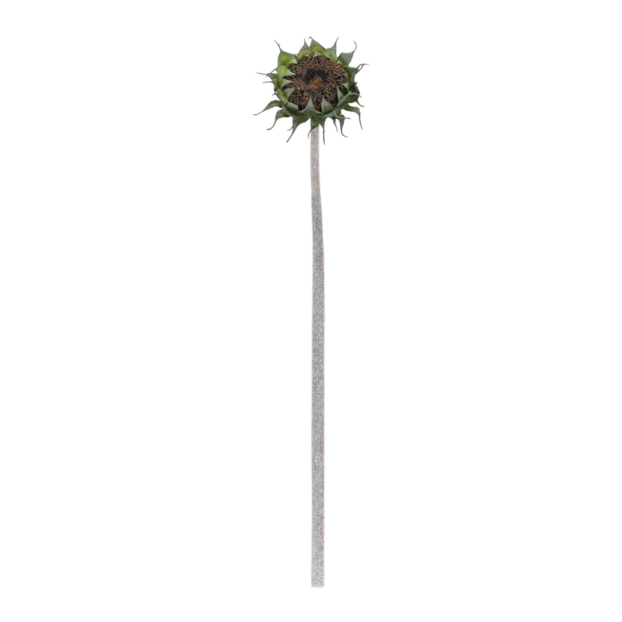 Brown Sunflower Stem (Set of 6)